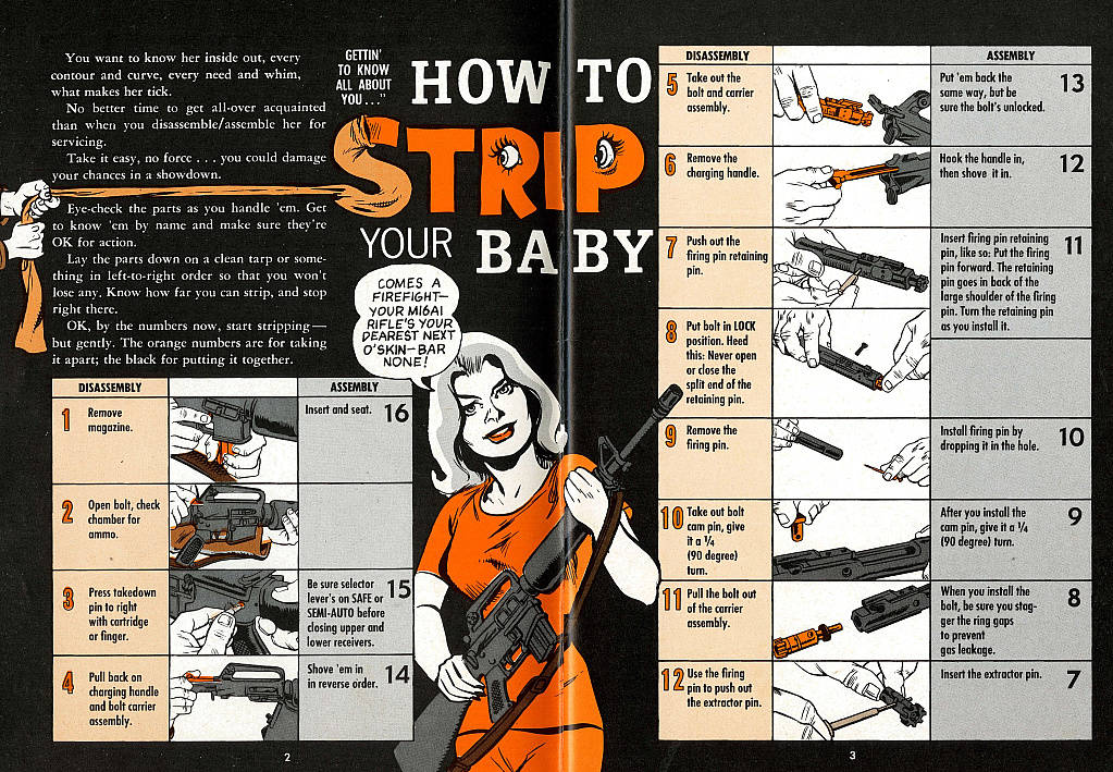 M4 Field Strip Diagram